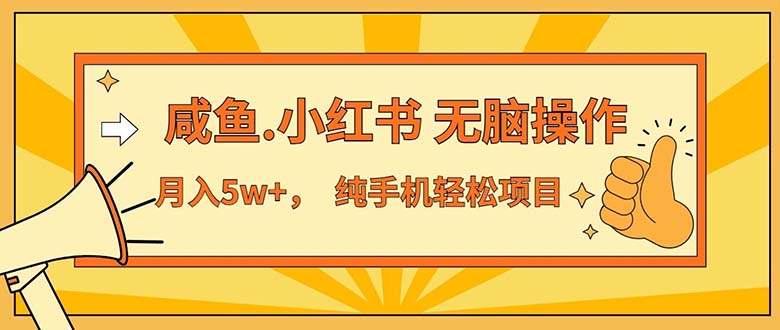 （11524期）2024最赚钱的项目，咸鱼，小红书无脑操作，每单利润500+，轻松月入5万+…-硕飞聊项目