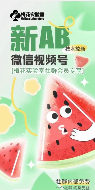 梅花实验室2024年AB技术视频号AB合成破解版-硕飞聊项目