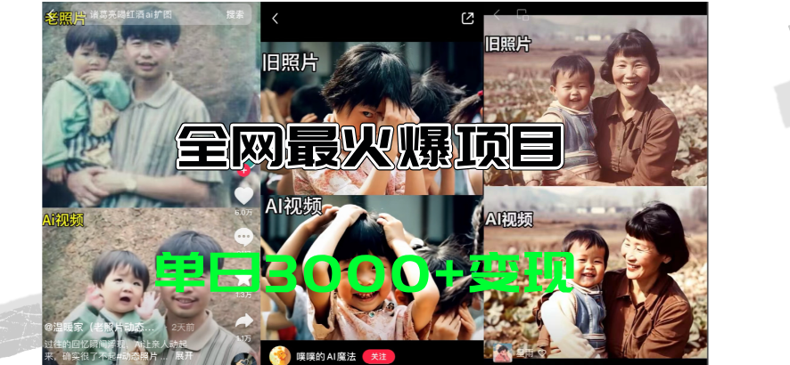 （11546期）全网爆火的AI让老照片动起来教程，蹭热点日赚3000+，内含免费工具一键…-硕飞聊项目