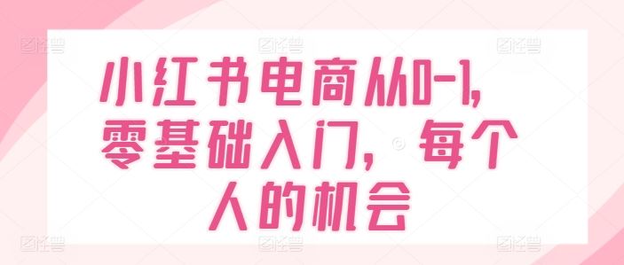 小红书电商从0-1，零基础入门，每个人的机会-硕飞聊项目