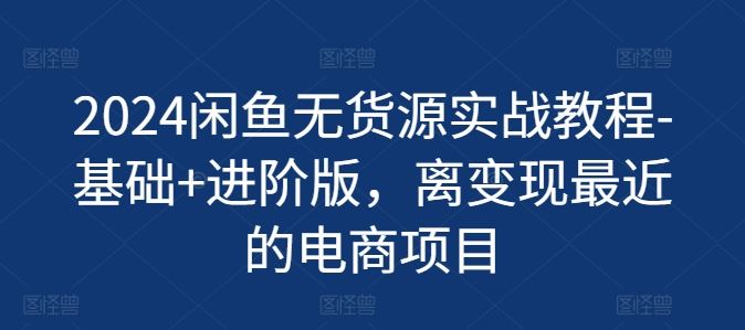 2024闲鱼无货源实战教程-基础+进阶版，离变现最近的电商项目-硕飞聊项目