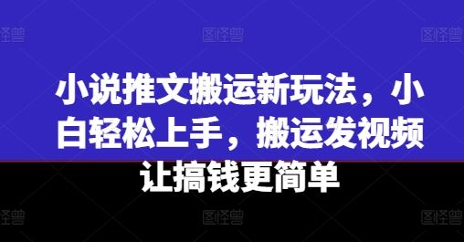 小说推文搬运新玩法，小白轻松上手，搬运发视频让搞钱更简单-硕飞聊项目