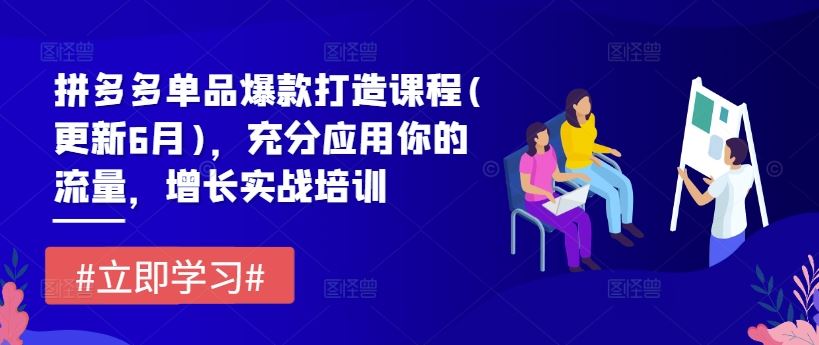 拼多多单品爆款打造课程(更新6月)，充分应用你的流量，增长实战培训-硕飞聊项目