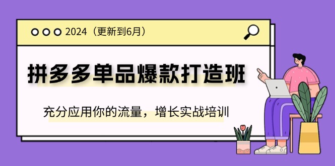 （11556期）2024拼多多-单品爆款打造班(更新6月)，充分应用你的流量，增长实战培训-硕飞聊项目
