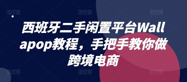 西班牙二手闲置平台Wallapop教程，手把手教你做跨境电商-硕飞聊项目