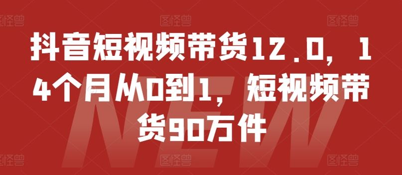 抖音短视频带货12.0，14个月从0到1，短视频带货90万件-硕飞聊项目