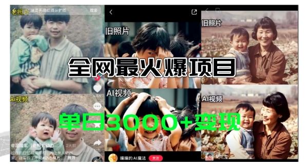 全网爆火的AI让老照片动起来教程，蹭热点日赚3k+，内含免费工具一键可生成【揭秘】-硕飞聊项目