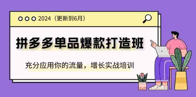 2024拼多多单品爆款打造班，充分应用你的流量，增长实战培训(更新6月)-硕飞聊项目
