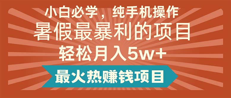 （11583期）小白必学，纯手机操作，暑假最暴利的项目轻松月入5w+最火热赚钱项目-硕飞聊项目