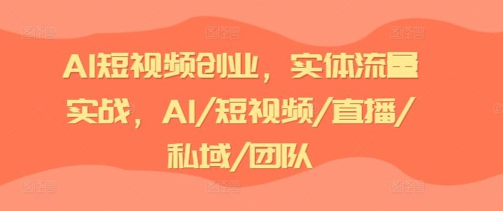 AI短视频创业，实体流量实战，AI/短视频/直播/私域/团队-硕飞聊项目