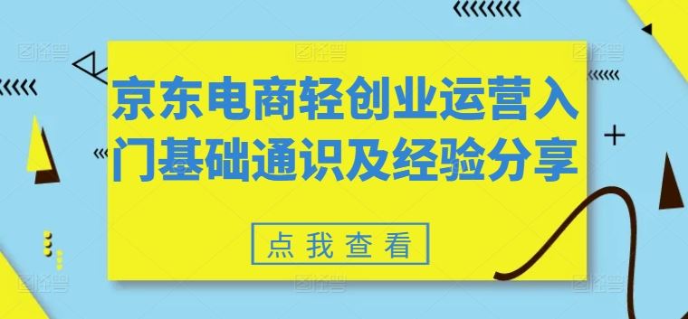 京东电商轻创业运营入门基础通识及经验分享-硕飞聊项目
