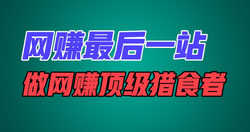 网赚最后一站，卖项目，做网赚顶级猎食者-硕飞聊项目