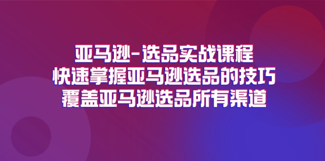 （11620期）亚马逊-选品实战课程，快速掌握亚马逊选品的技巧，覆盖亚马逊选品所有渠道-硕飞聊项目