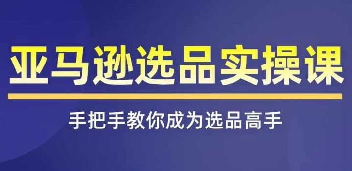 亚马逊选品实操课程，快速掌握亚马逊选品的技巧，覆盖亚马逊选品所有渠道-硕飞聊项目