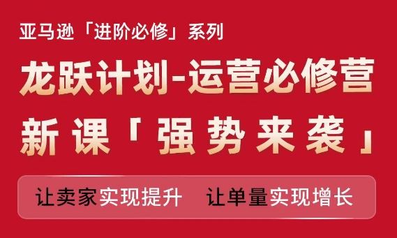 亚马逊进阶必修系列，龙跃计划-运营必修营新课，让卖家实现提升 让单量实现增长-硕飞聊项目