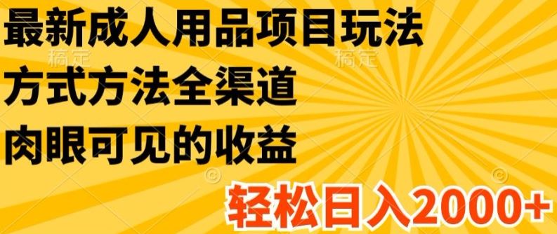 最新成人用品项目玩法，方式方法全渠道，轻松日入2K+【揭秘】-硕飞聊项目