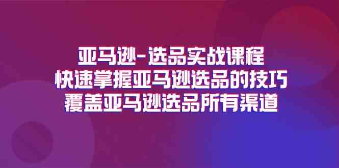 亚马逊选品实战课程，快速掌握亚马逊选品的技巧，覆盖亚马逊选品所有渠道-硕飞聊项目