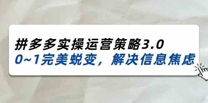 2024-2025拼多多实操运营策略3.0，0~1完美蜕变，解决信息焦虑（38节）-硕飞聊项目