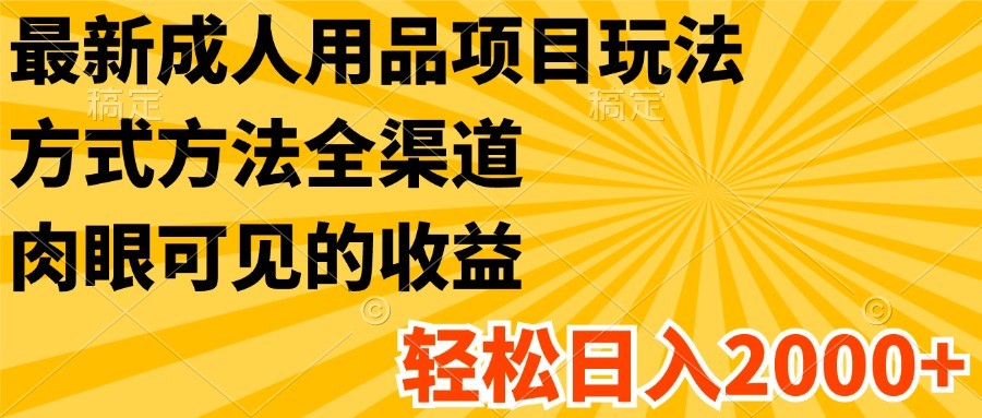 最新成人用品项目玩法，方式方法全渠道，肉眼可见的收益，轻松日入2000+-硕飞聊项目