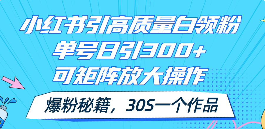 （11692期）小红书引高质量白领粉，单号日引300+，可放大操作，爆粉秘籍！30s一个作品-硕飞聊项目