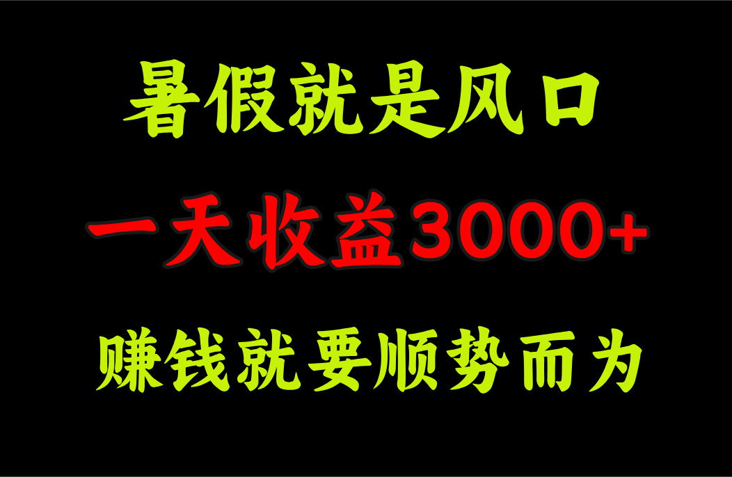 （11670期）一天收益3000+ 赚钱就是顺势而为，暑假就是风口-硕飞聊项目