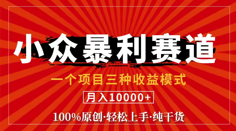 （11695期）视频号【中老年粉深信不疑】小众赛道 100%原创 手把手教学 新号3天收益…-硕飞聊项目
