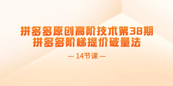 （11704期）拼多多原创高阶技术第38期，拼多多阶梯提价破量法（14节课）-硕飞聊项目