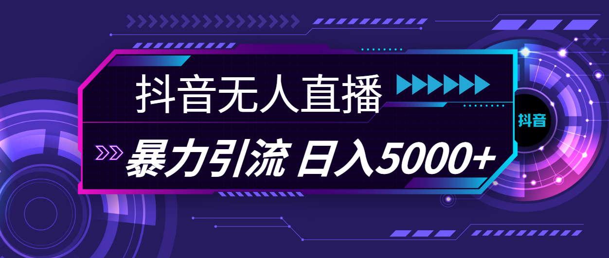 （11709期）抖音无人直播，暴利引流，日入5000+-硕飞聊项目