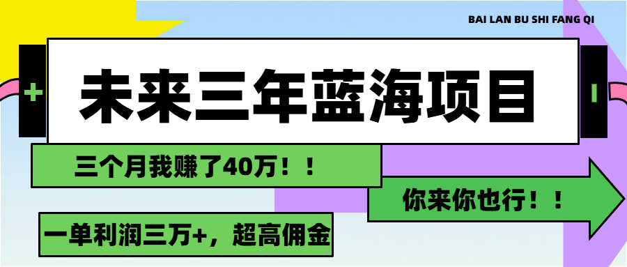（11716期）未来三年，蓝海赛道，月入3万+-硕飞聊项目