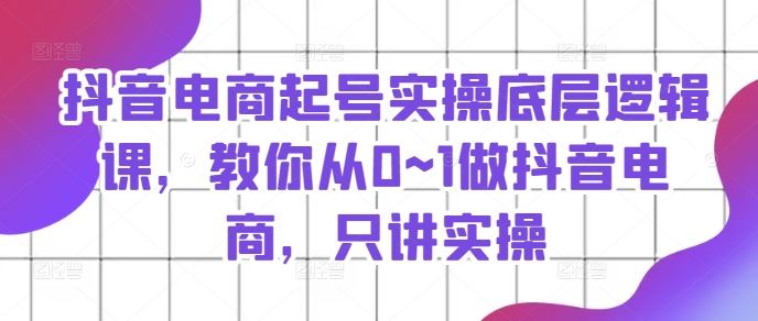 抖音电商起号实操底层逻辑课，教你从0~1做抖音电商，只讲实操-硕飞聊项目