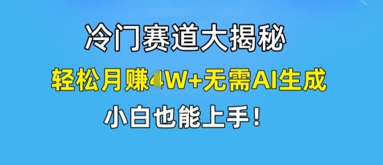 冷门赛道大揭秘，轻松月赚1W+无需AI生成，小白也能上手【揭秘】-硕飞聊项目