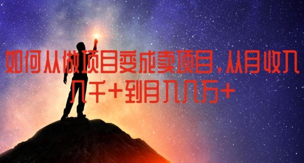 如何从做项目变成卖项目，从月收入几千到月入几万【揭秘】-硕飞聊项目
