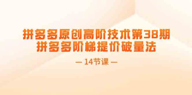 拼多多原创高阶技术第38期，拼多多阶梯提价破量法（14节课）-硕飞聊项目