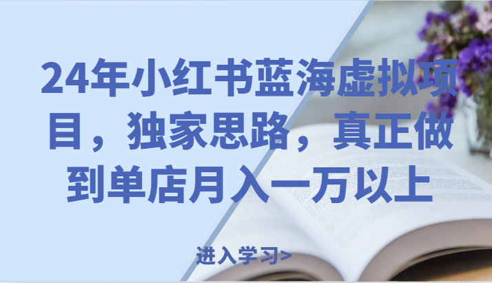 24年小红书蓝海虚拟项目，独家思路，真正做到单店月入一万以上。-硕飞聊项目