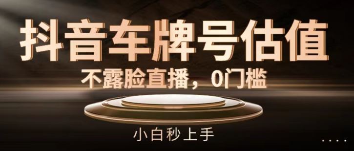 抖音车牌号估值，不露脸直播，0门槛，小白秒上手【揭秘】-硕飞聊项目