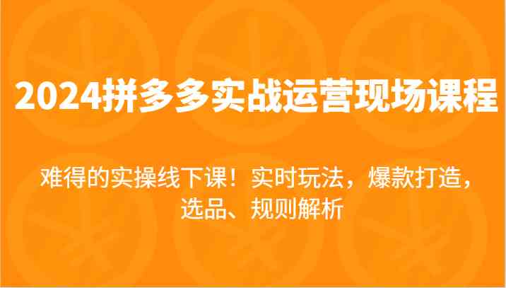 2024拼多多实战运营现场课，实时玩法，爆款打造，选品、规则解析，难得的实操线下课！-硕飞聊项目