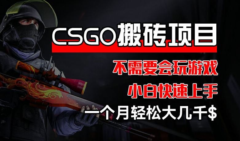 CSGO 装备搬砖项目，操作简单，不需要会玩游戏，小白也能快速上手，一个月轻松大几千【揭秘】-硕飞聊项目