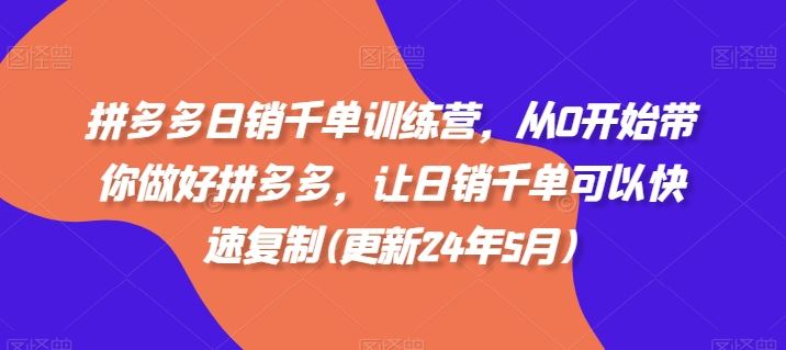 拼多多日销千单训练营，从0开始带你做好拼多多，让日销千单可以快速复制(更新24年7月)-硕飞聊项目