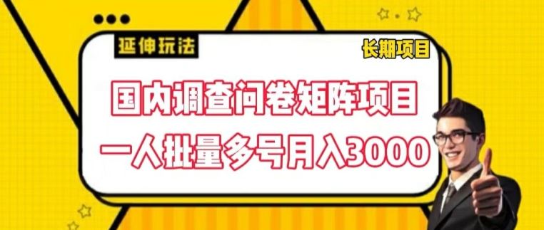 国内调查问卷矩阵项目，一人批量多号月入3000【揭秘】-硕飞聊项目