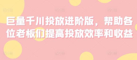 巨量千川投放进阶版，帮助各位老板们提高投放效率和收益-硕飞聊项目
