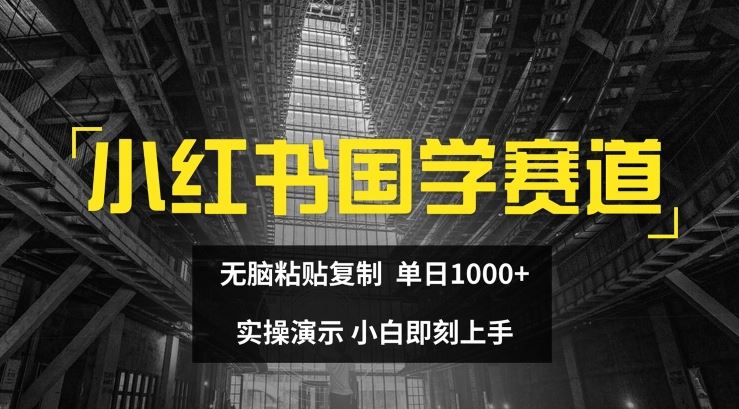 小红书国学赛道，无脑粘贴复制，单日1K，实操演示，小白即刻上手【揭秘】-硕飞聊项目