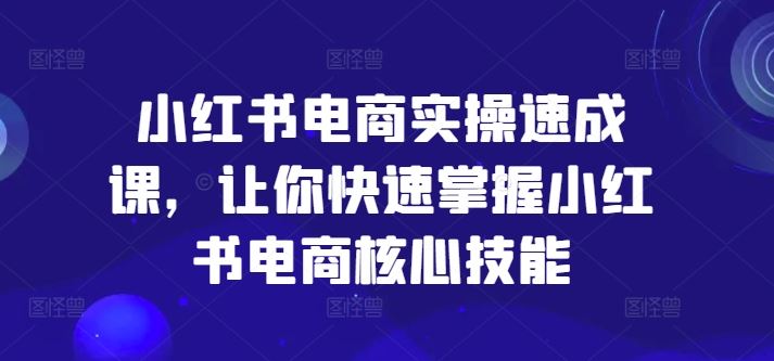 小红书电商实操速成课，让你快速掌握小红书电商核心技能-硕飞聊项目