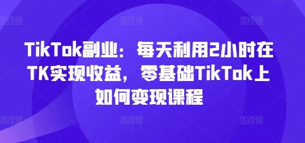 TikTok副业：每天利用2小时在TK实现收益，零基础TikTok上如何变现课程-硕飞聊项目