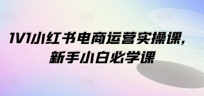 1V1小红书电商运营实操课，新手小白必学课-硕飞聊项目