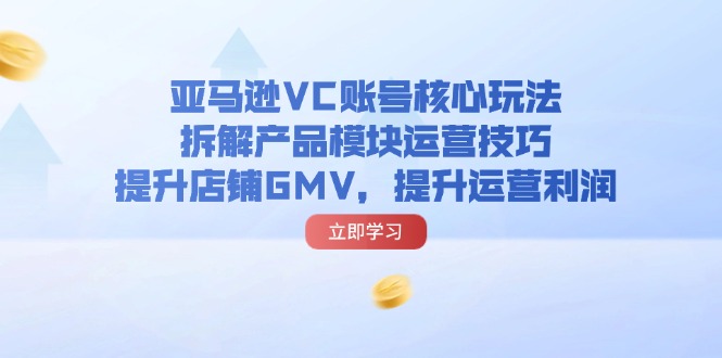 （11848期）亚马逊VC账号核心玩法，拆解产品模块运营技巧，提升店铺GMV，提升运营利润-硕飞聊项目