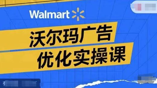 沃尔玛广告优化实操课，广告报告实操讲解，广告如何提高转化和ROAS等-硕飞聊项目