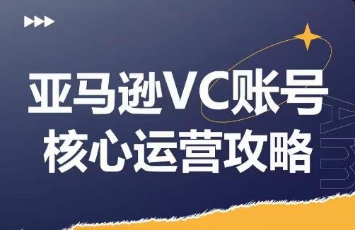 亚马逊VC账号核心玩法解析，实战经验拆解产品模块运营技巧，提升店铺GMV，有效提升运营利润-硕飞聊项目