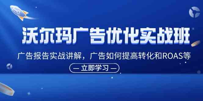 沃尔玛广告优化实战班，广告报告实战讲解，广告如何提高转化和ROAS等-硕飞聊项目