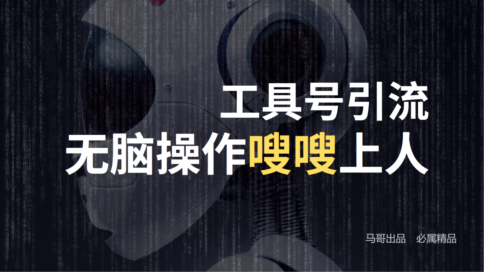 工具号高效引流法，嗖嗖上人，日引1000+，直接搬运，无脑操作-硕飞聊项目