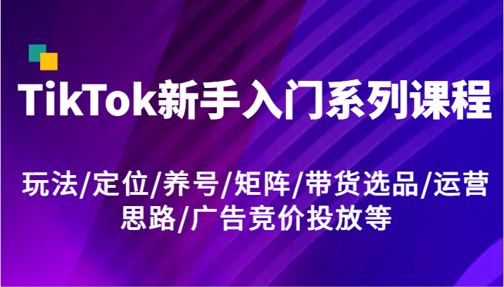 TikTok新手入门系列课程，玩法/定位/养号/矩阵/带货选品/运营思路/广告竞价投放等-硕飞聊项目